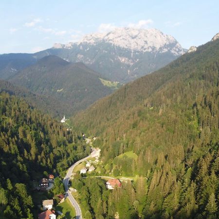Na Logu - Farm Stay Ambroz Gregorc Solčava Esterno foto