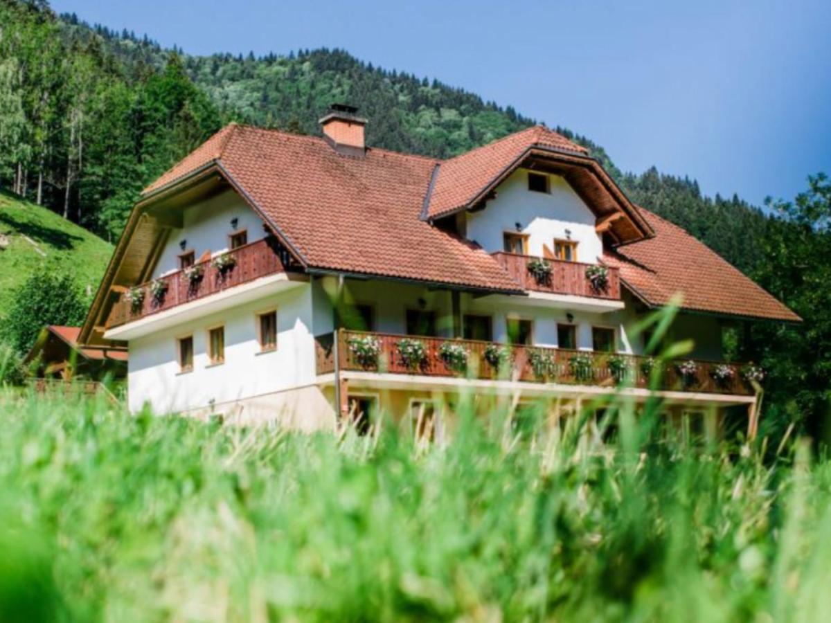 Na Logu - Farm Stay Ambroz Gregorc Solčava Esterno foto