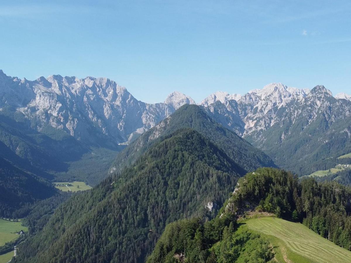 Na Logu - Farm Stay Ambroz Gregorc Solčava Esterno foto