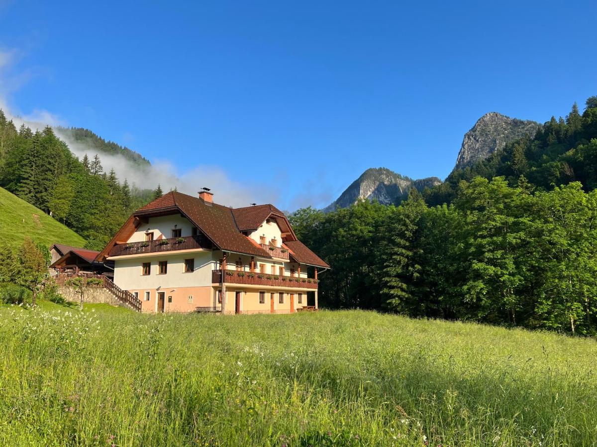Na Logu - Farm Stay Ambroz Gregorc Solčava Esterno foto