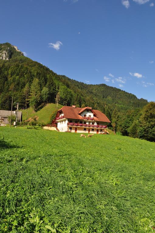 Na Logu - Farm Stay Ambroz Gregorc Solčava Esterno foto