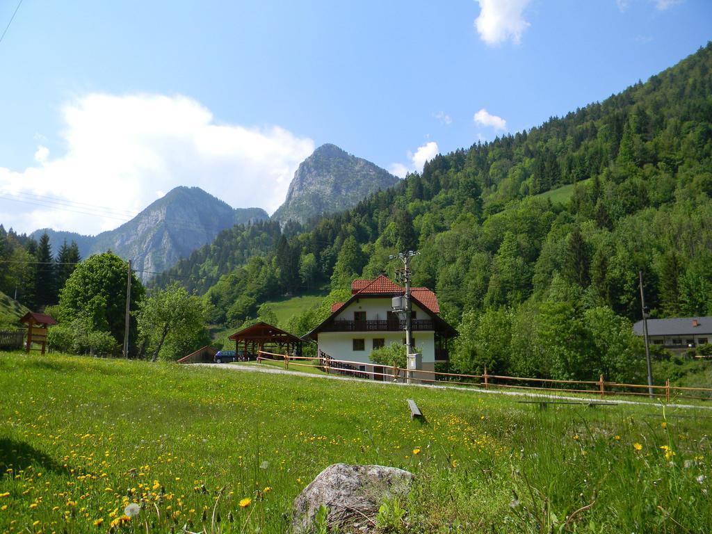 Na Logu - Farm Stay Ambroz Gregorc Solčava Esterno foto
