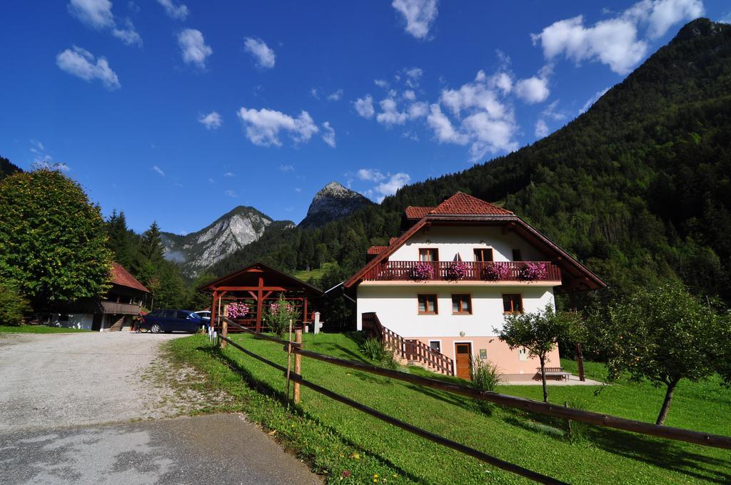 Na Logu - Farm Stay Ambroz Gregorc Solčava Esterno foto