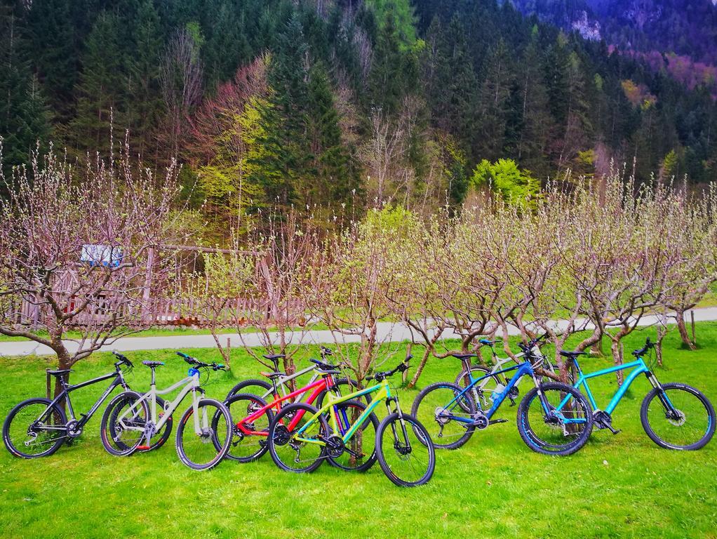 Na Logu - Farm Stay Ambroz Gregorc Solčava Esterno foto